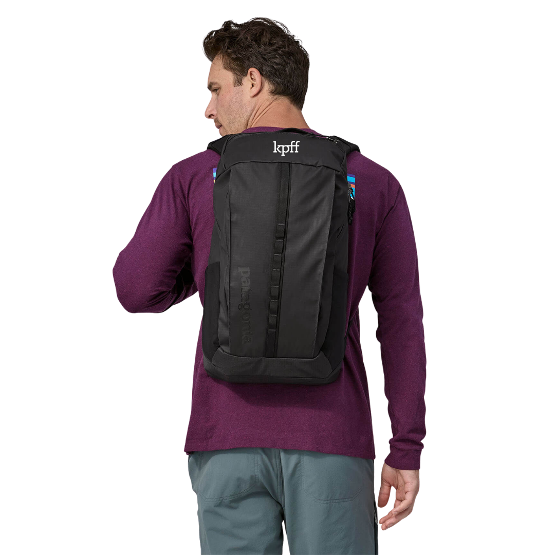 Patagonia Black Hole Pack - 25L