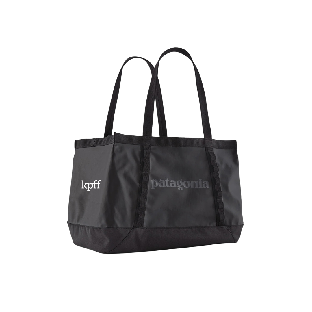 Patagonia Black Hole Tote 25L