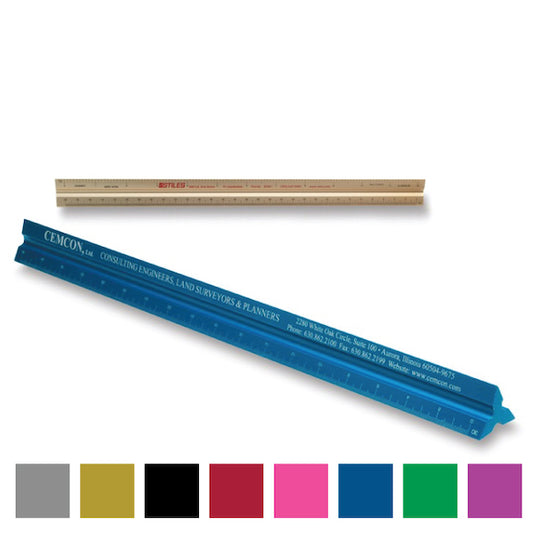 12" Combination Solid Triangular Scale (100)